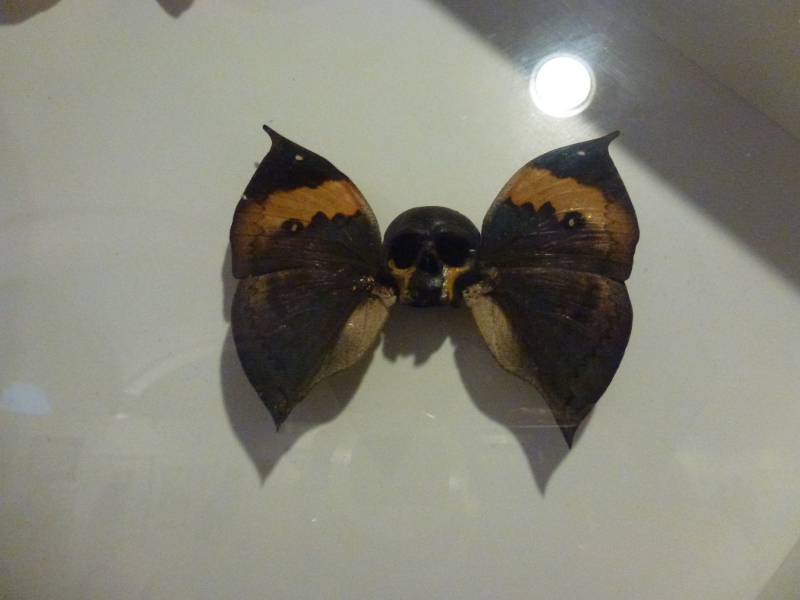D*Face - Schmetterling - auf der Stroke Art Fair 2013