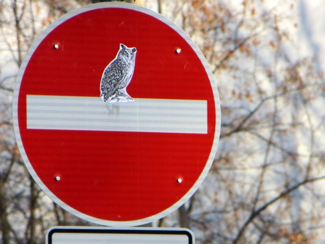 Sticker - Eule auf Durchfahrt-verboten-Schild in Dresden