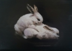 Stupid Rabbits Acrylic and pastel on canvas // 33 x 46 cm // 2014