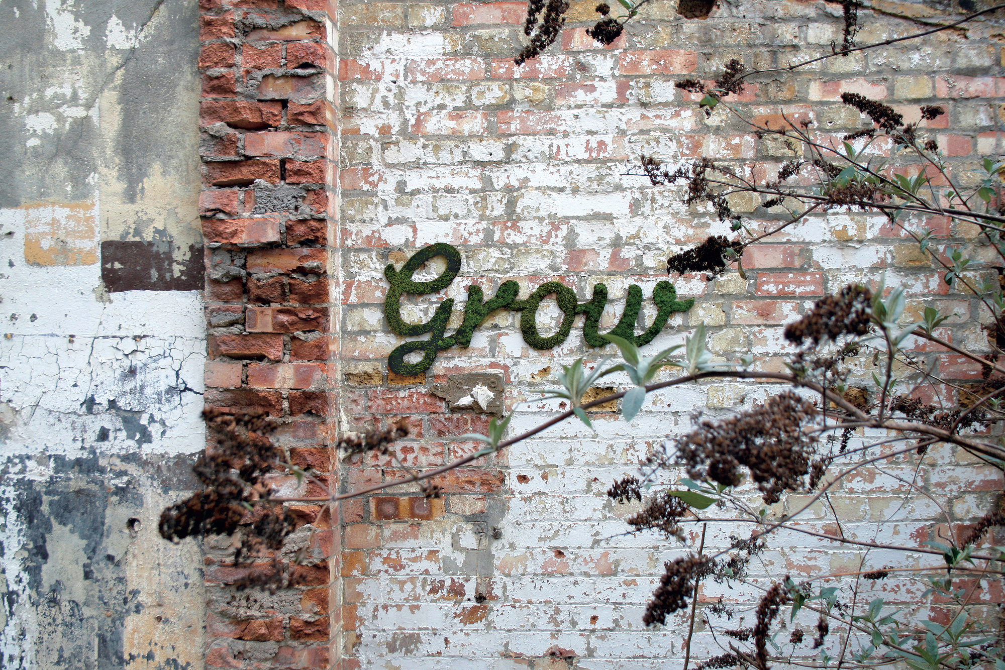 "Grow", London, England, 2012, Moos, S. 52 © Anna Garforth / Street Art Reloaded, Prestel 2015