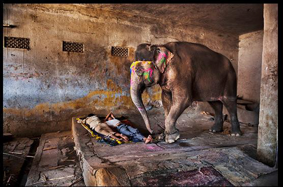 McCurry | Indien | Rajastan |2012 "Mahuts schlafen bei ihrem Elefanten." S.105 | Copyright: Steve McCurry
