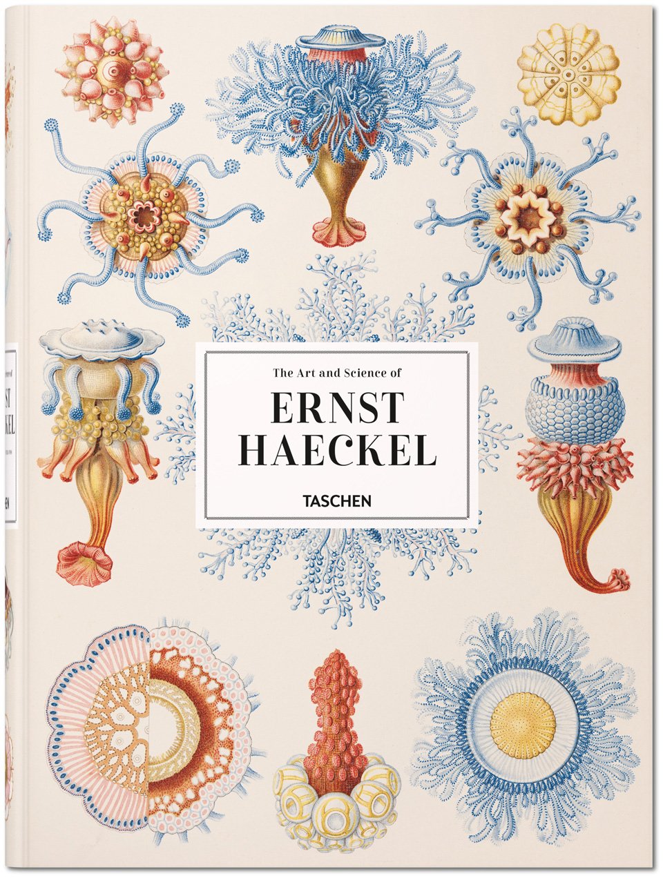 Kunst und Wissenschaft Ernst Haeckels | Rainer Willmann, Julia Voss | Taschen Verlag