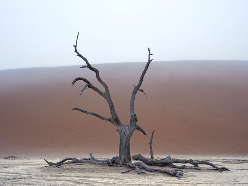 Paolo Pellegrin Sossusvlei, Namib-Naukluft National Park, Namibia, 2022 © Paolo Pellegrin / Magnum Photos